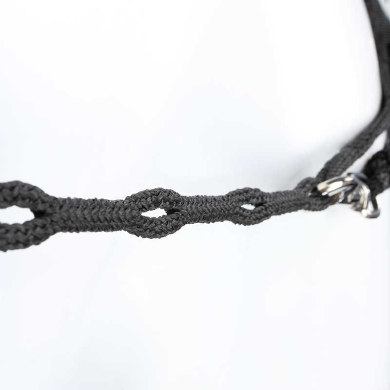 Phillips reins "Easy" - Nylon