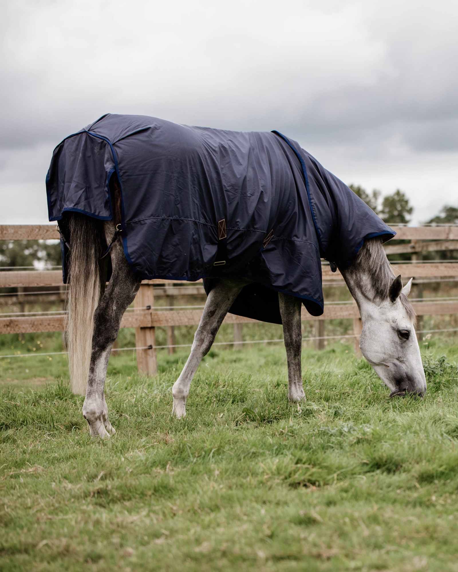 Outdoor rug All Weather Hurricane 50g