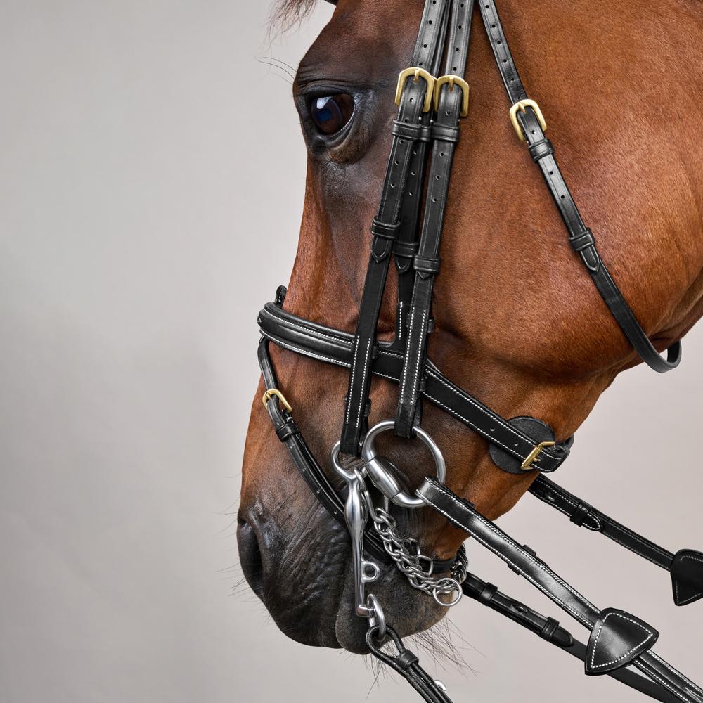 Kandare mit kombiniertem Reithalfter DY | Dy'on