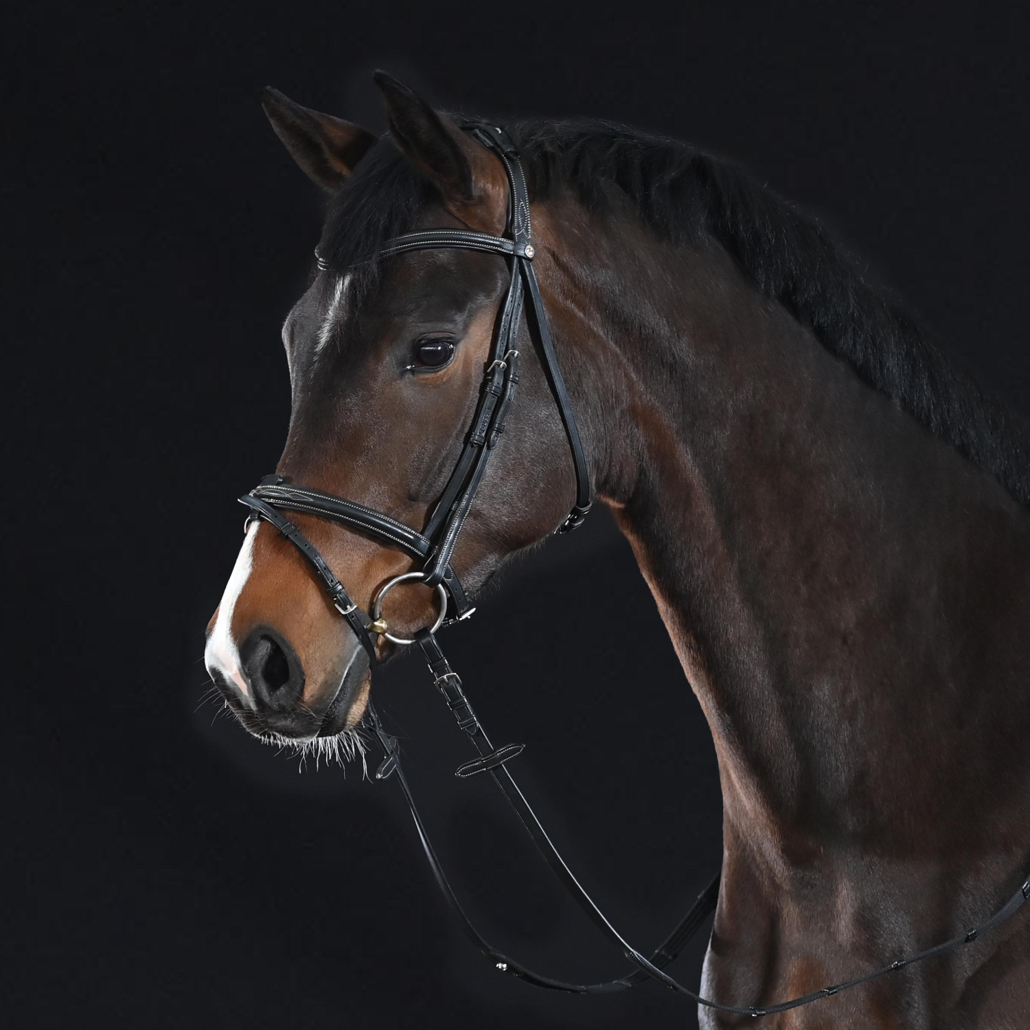 Trense Take-Off Line AD