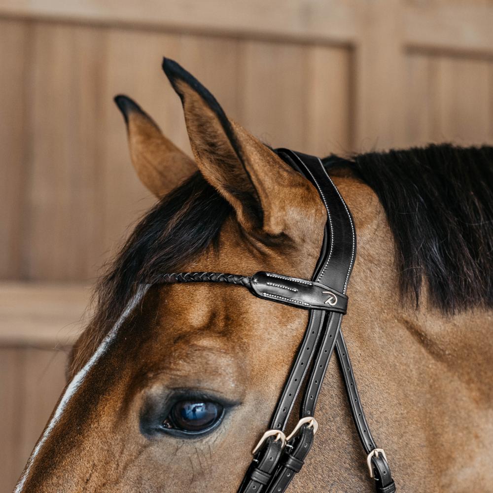Round plaited browband | Dy'on
