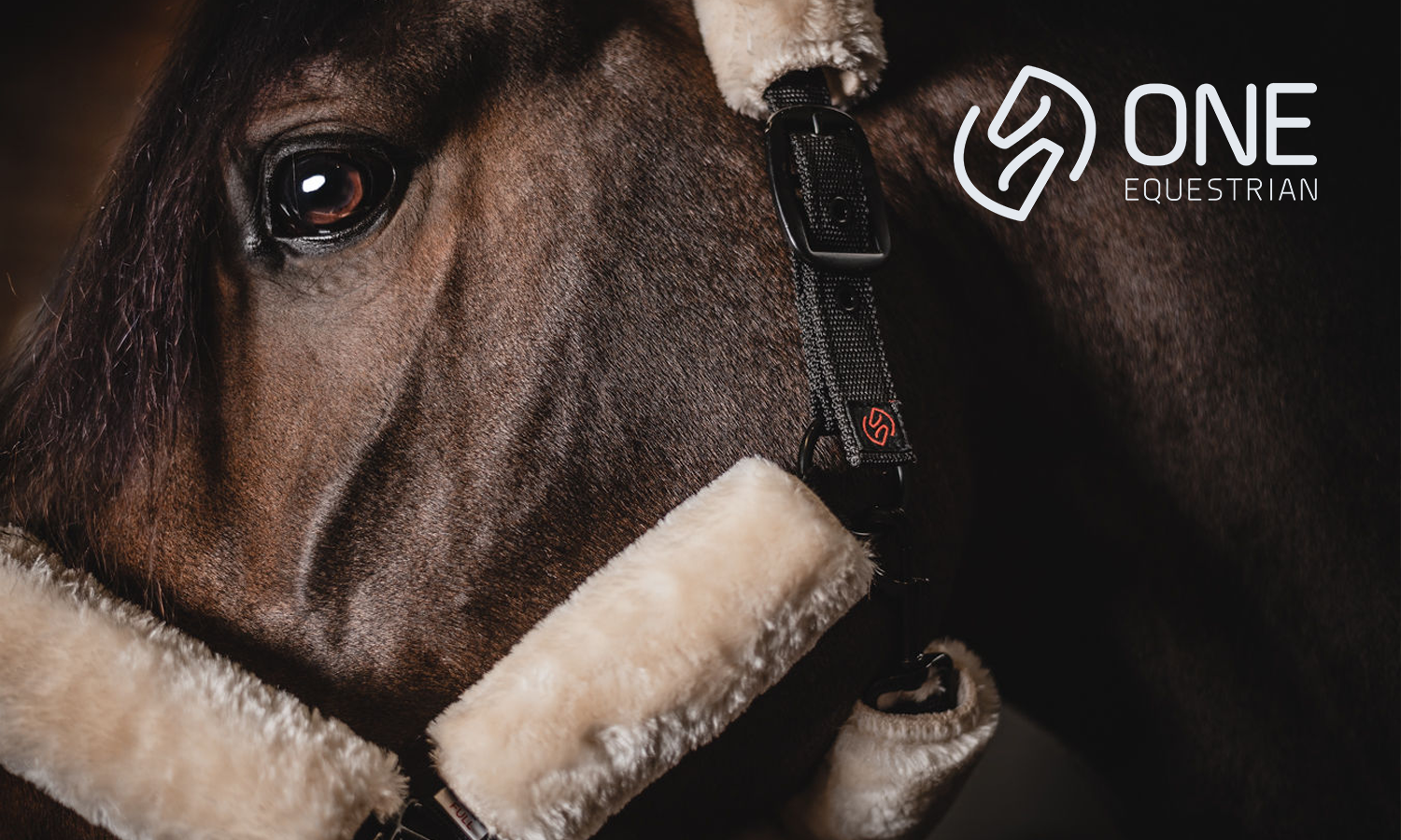 ONE Equestrian