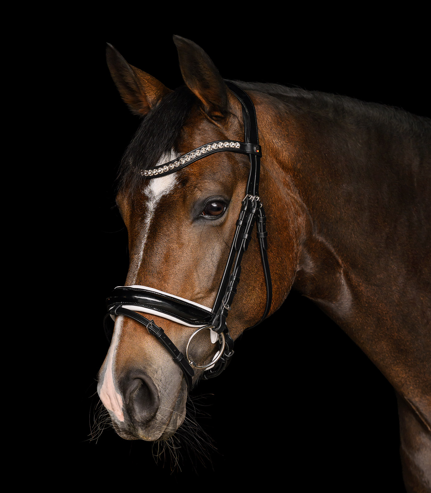 Trensenzaum X-Line Evermore, schwedisch komb.