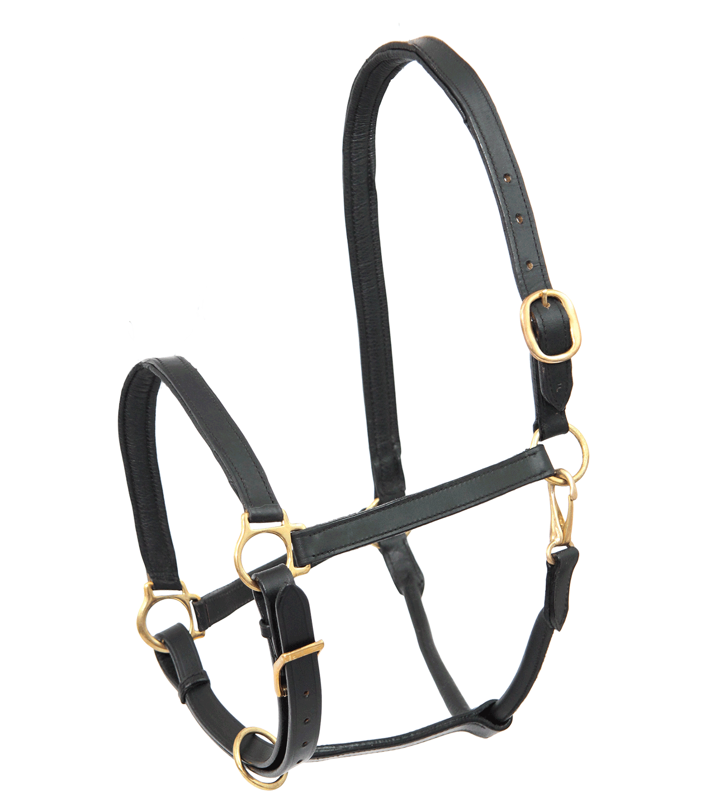 Robust leather halter