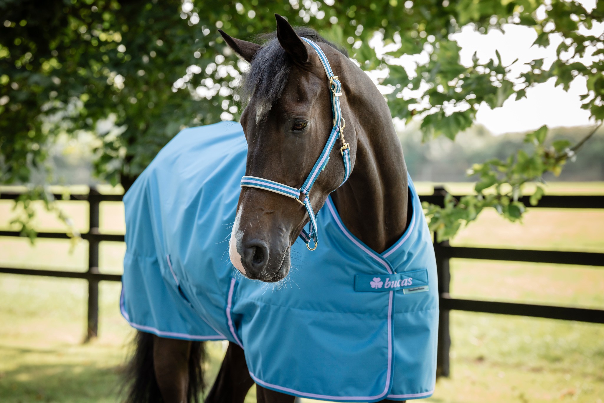 Stalldecke Freedom Stable 150 g in Blueberry