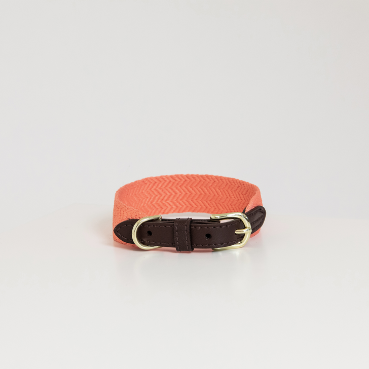 Hundehalsband Jacquard Hundehalsband Jacquard