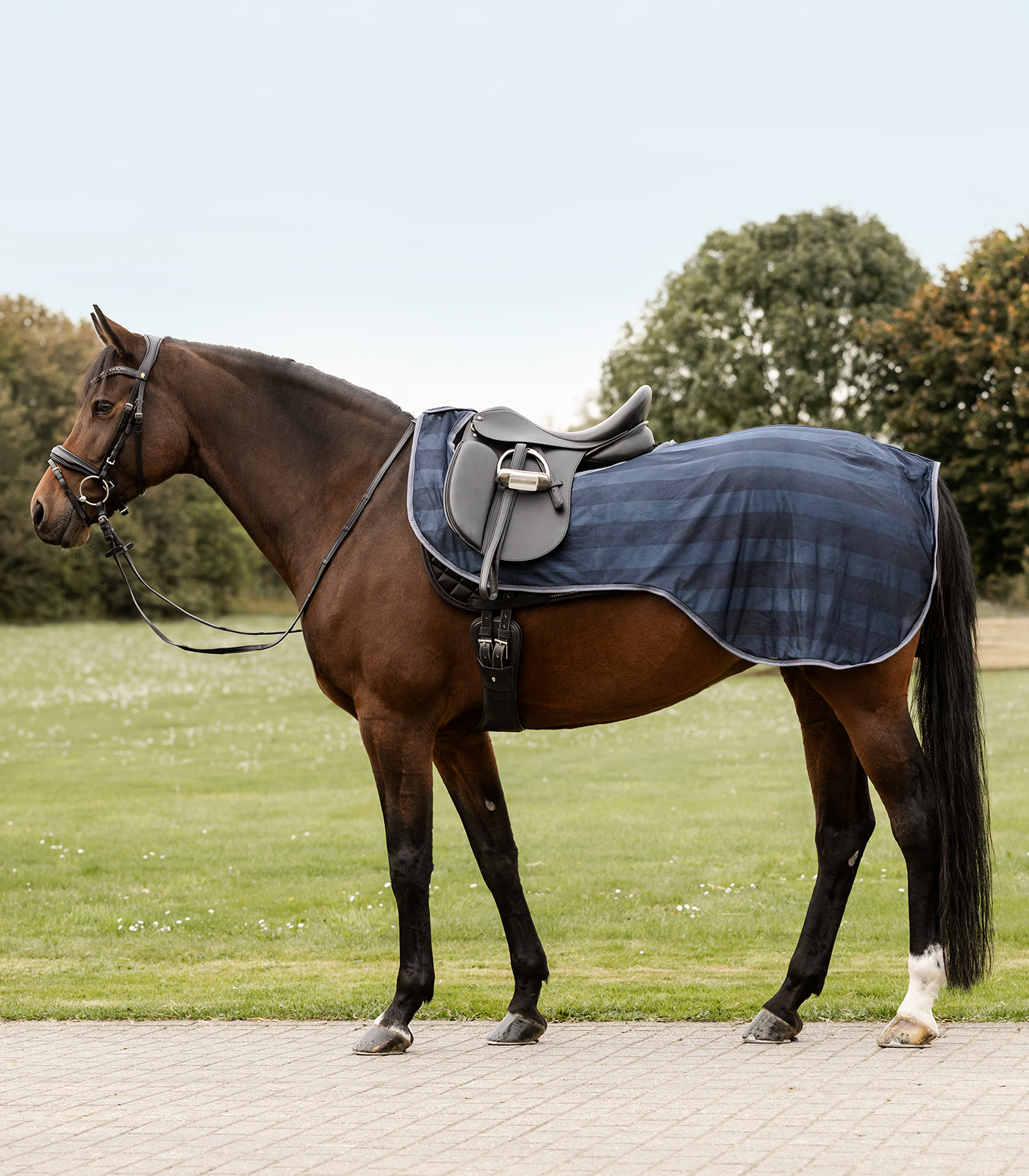 Fliegen-Ausreitdecke Economic