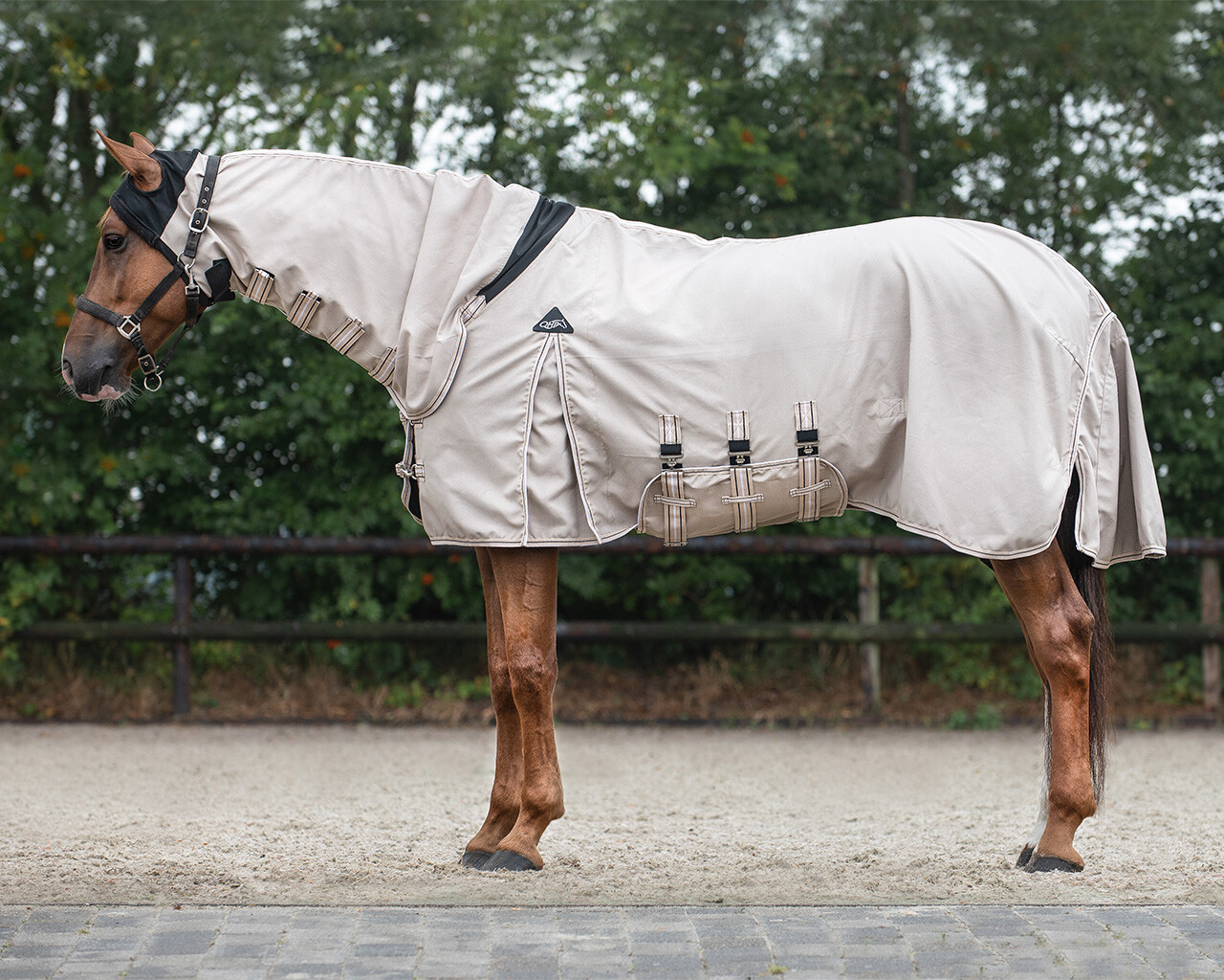 Eczema blanket hoodie Eczema blanket hoodie