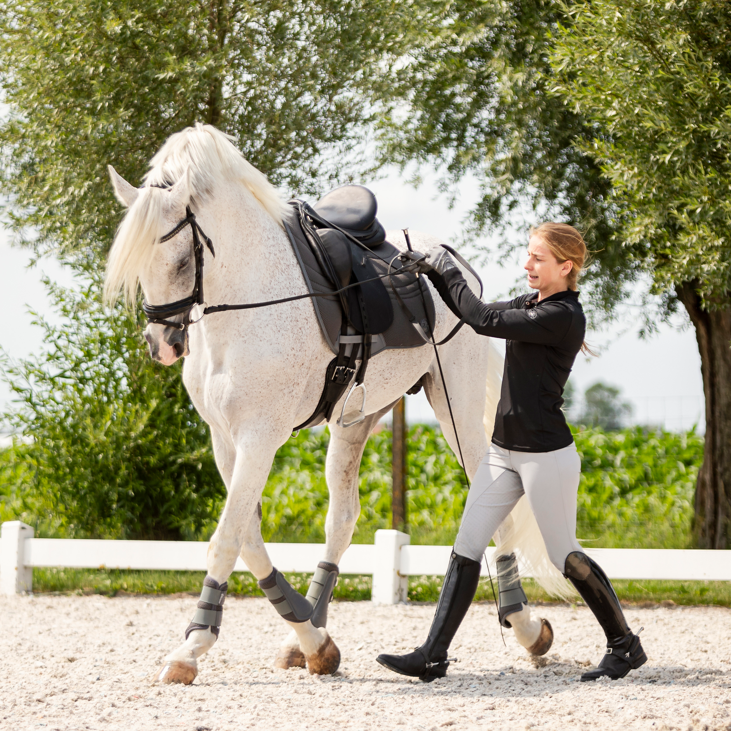 Rênes longues Soft