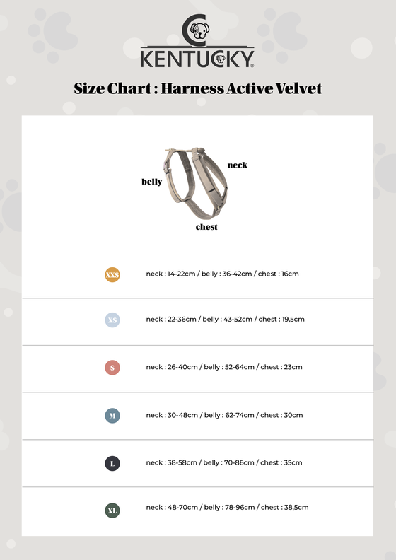Active Velvet dog harness