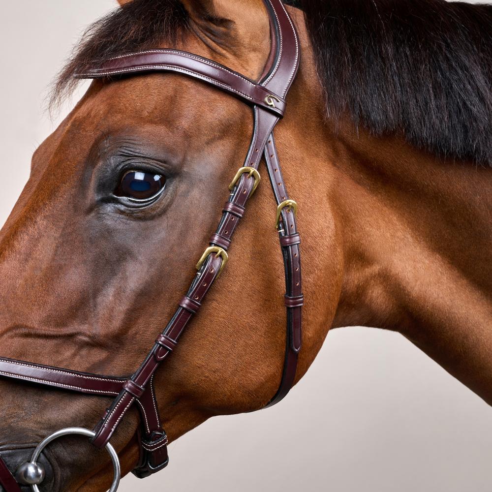 X-fit Trense DY | Dy'on