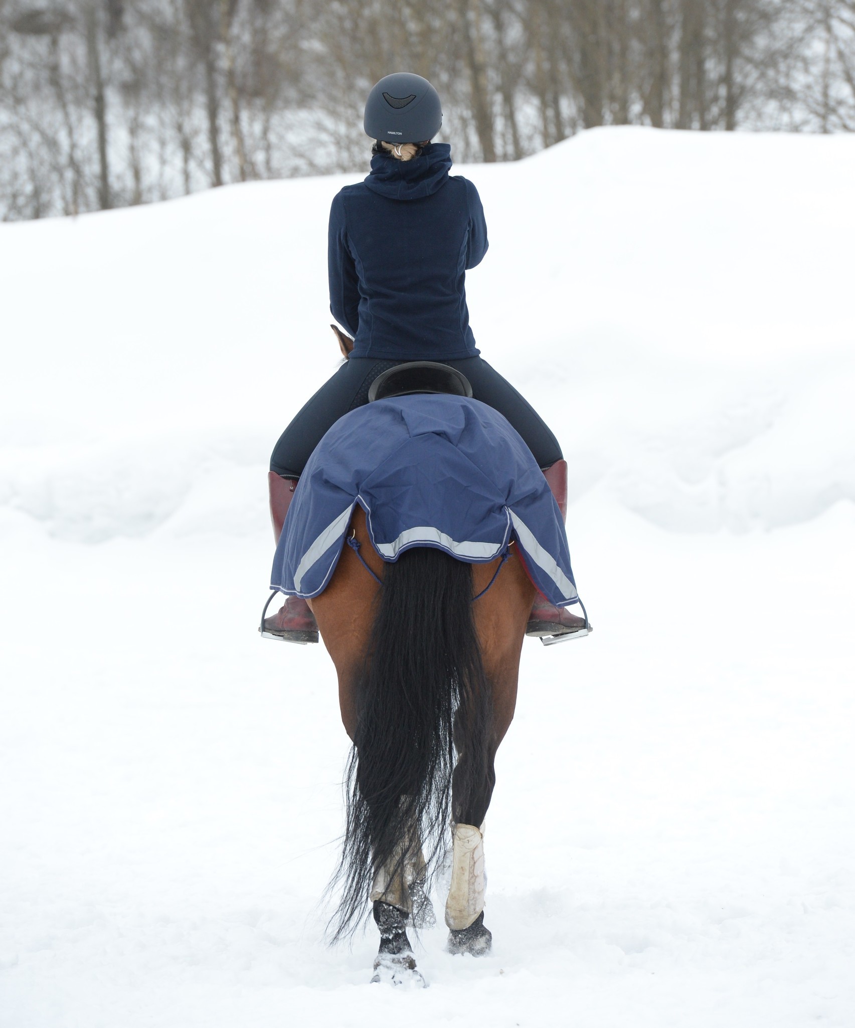Nierendecke Riding Rug in Navy