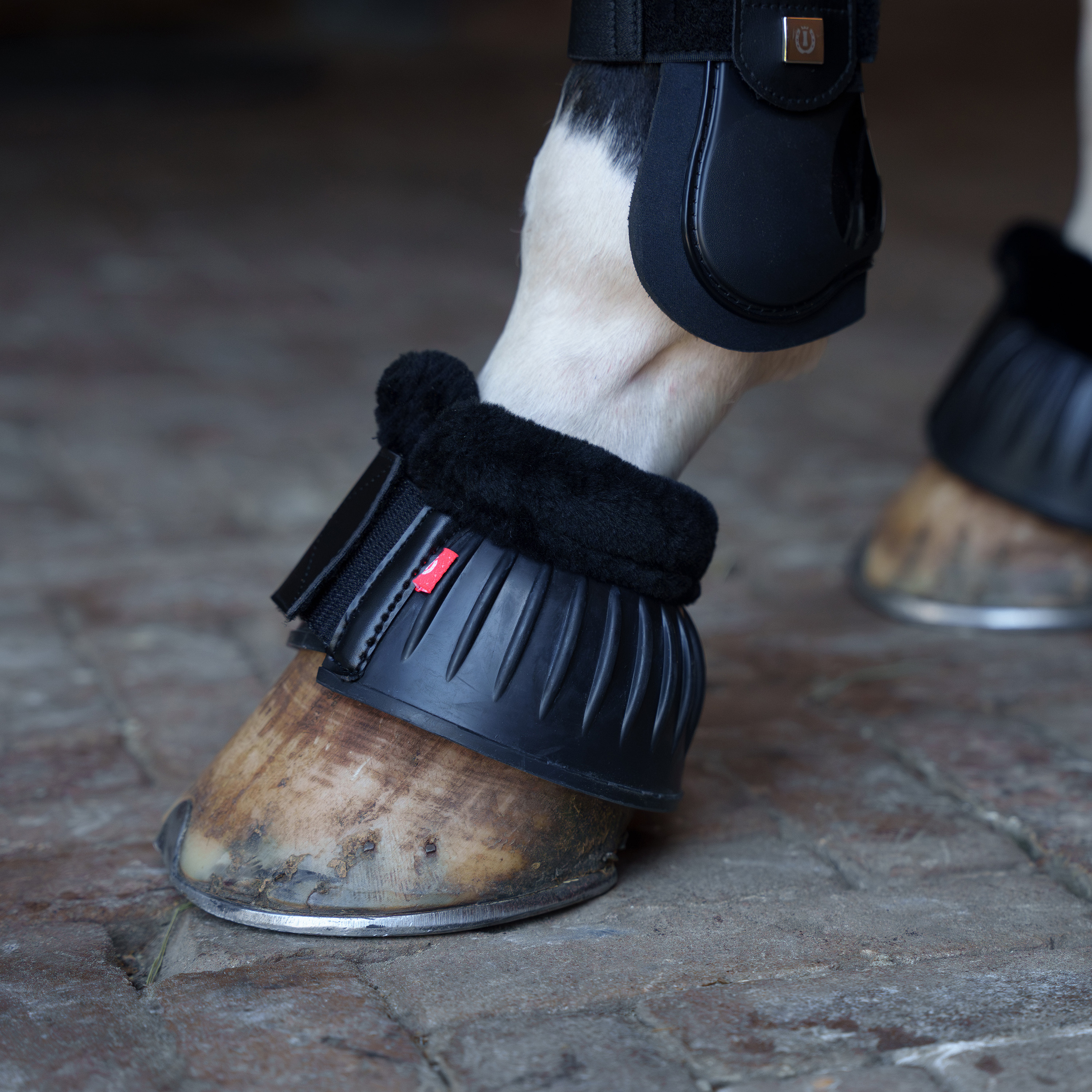 Hufglocken Bells fur