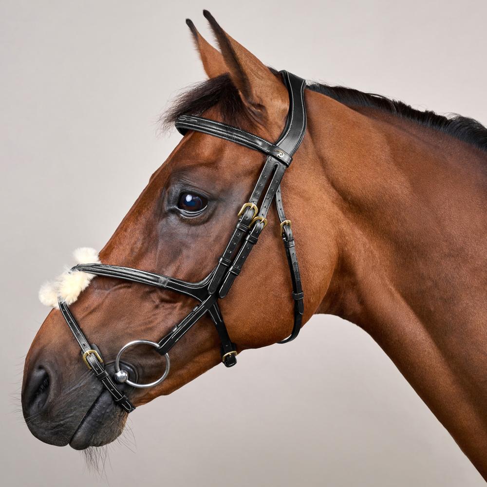 Trense mit mexikanischem Reithalfter DY | Dy'on