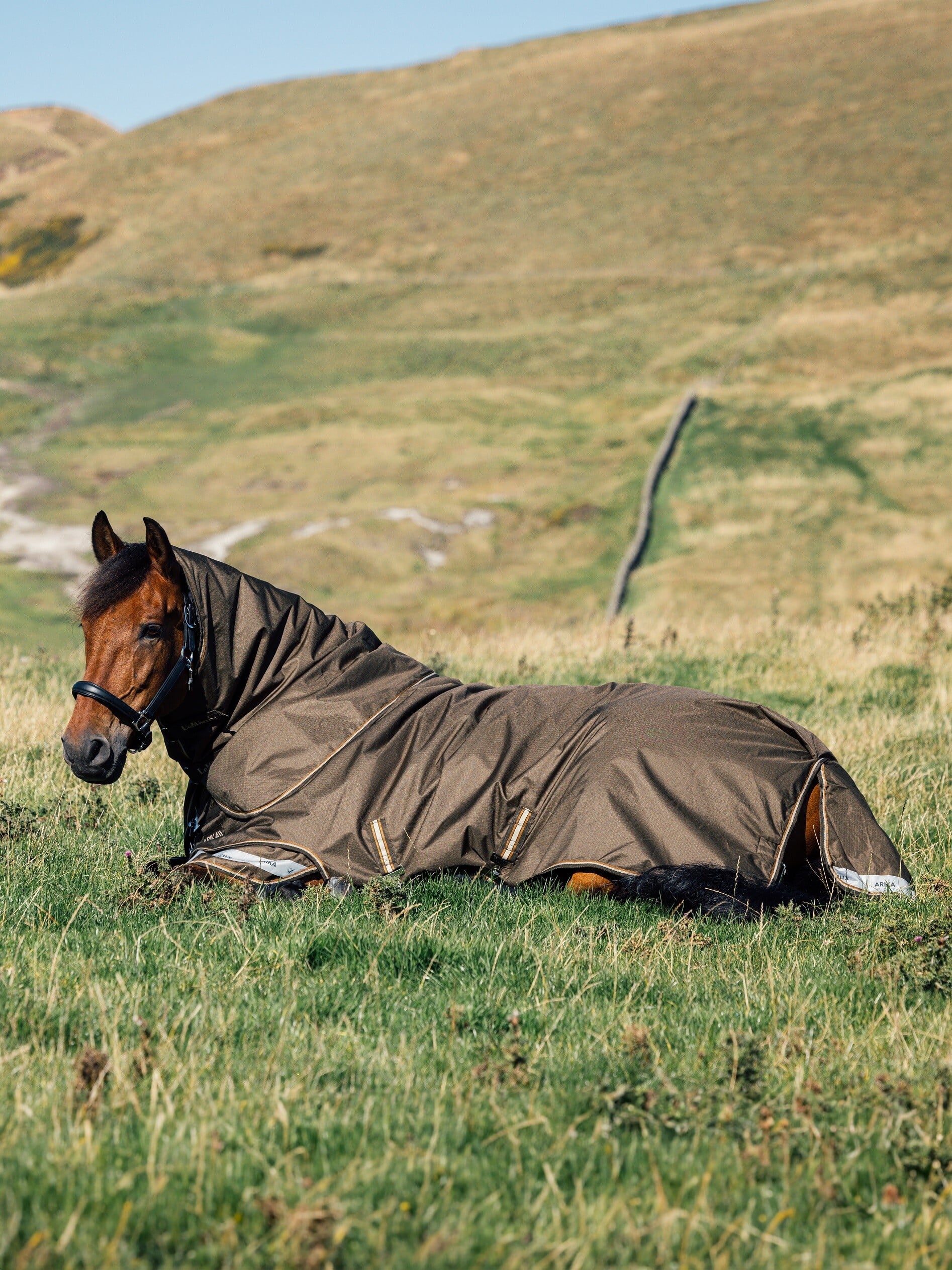 Arika Ripstop Weidedecke 100g