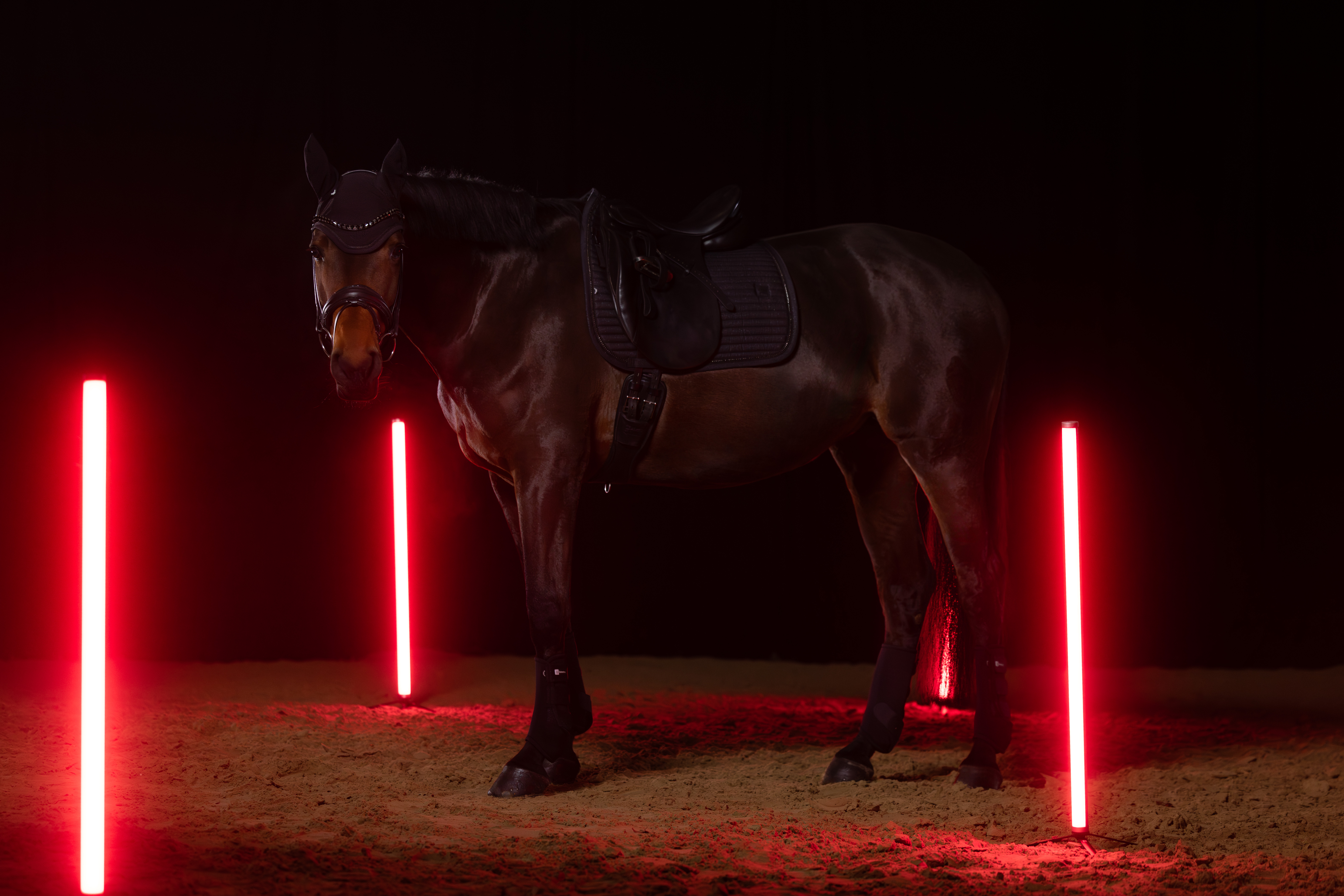 Schabracke Sparkle Crystal Dynamic