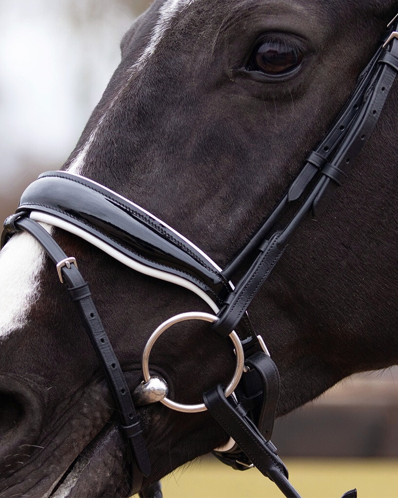 Snaffle Nehza