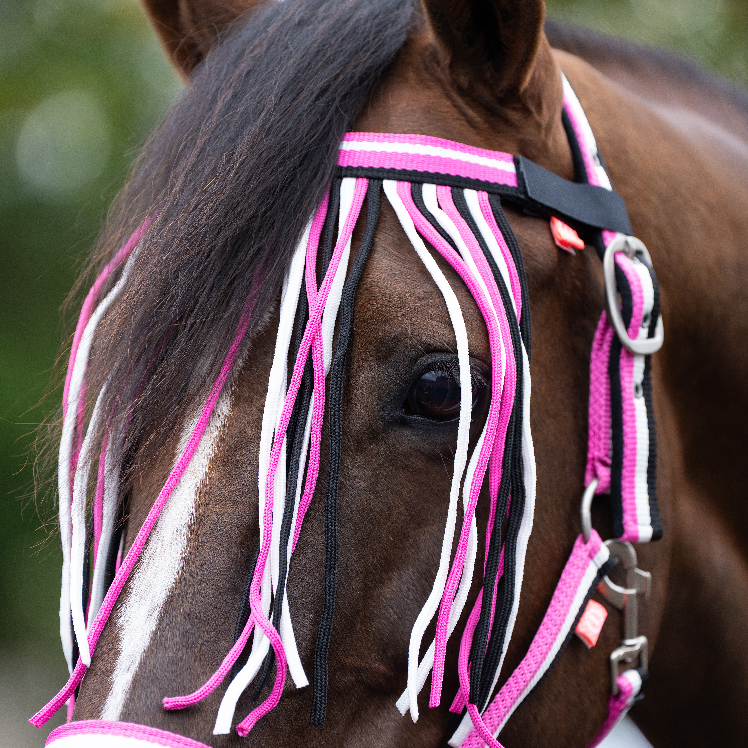 Halfter Nylon mit Anbindestrick und Fliegenfransen
