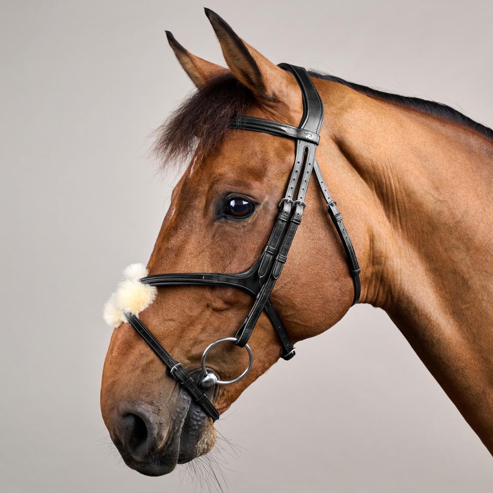 Trense mit mexikanischem Reithalfter NE