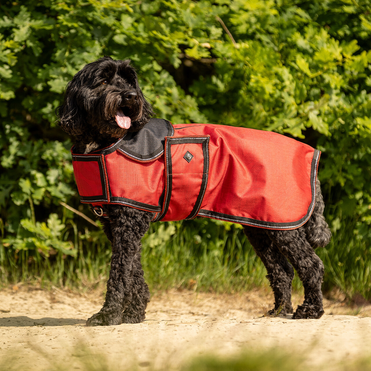 Hundedecke Turnout Collection