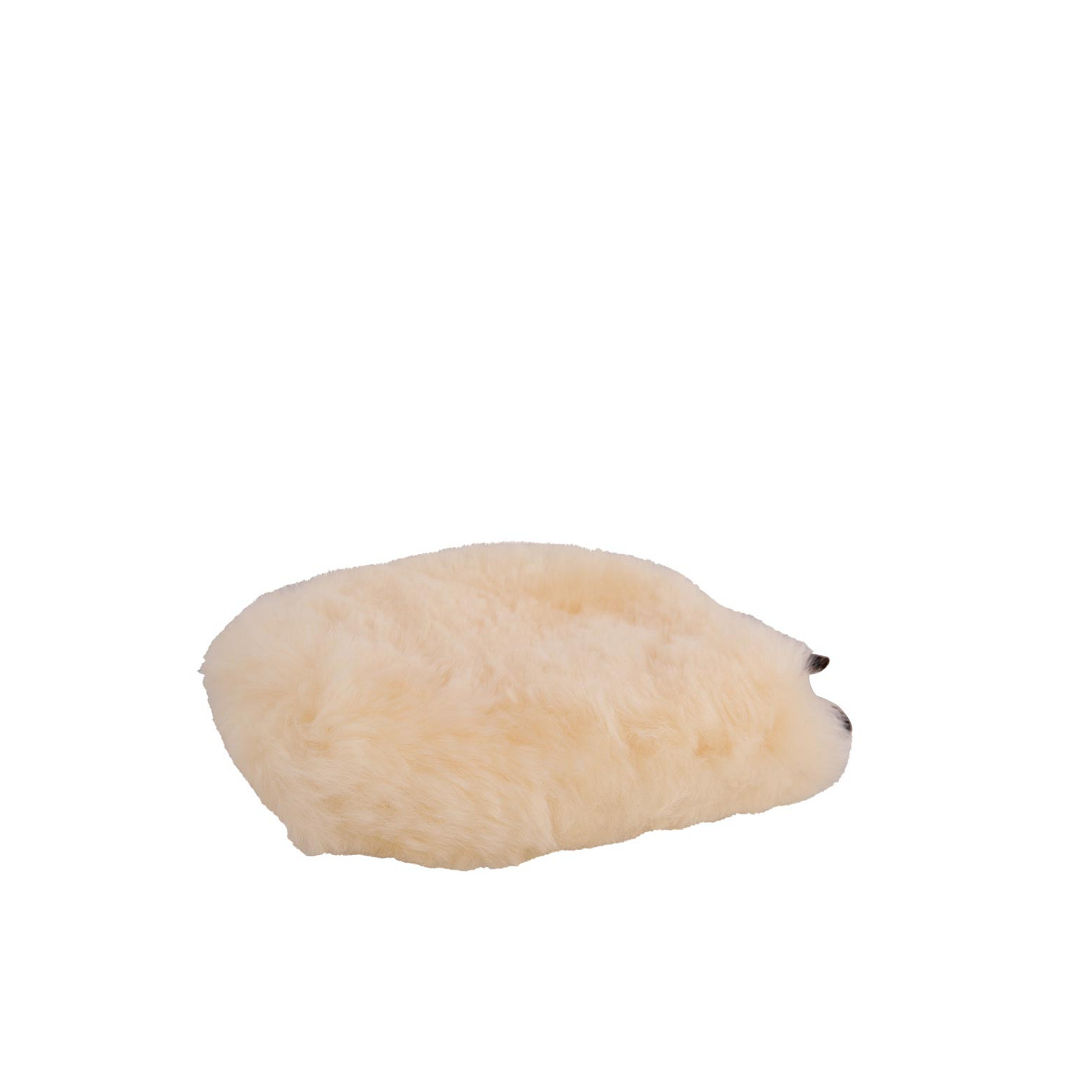 Putzhandschuh