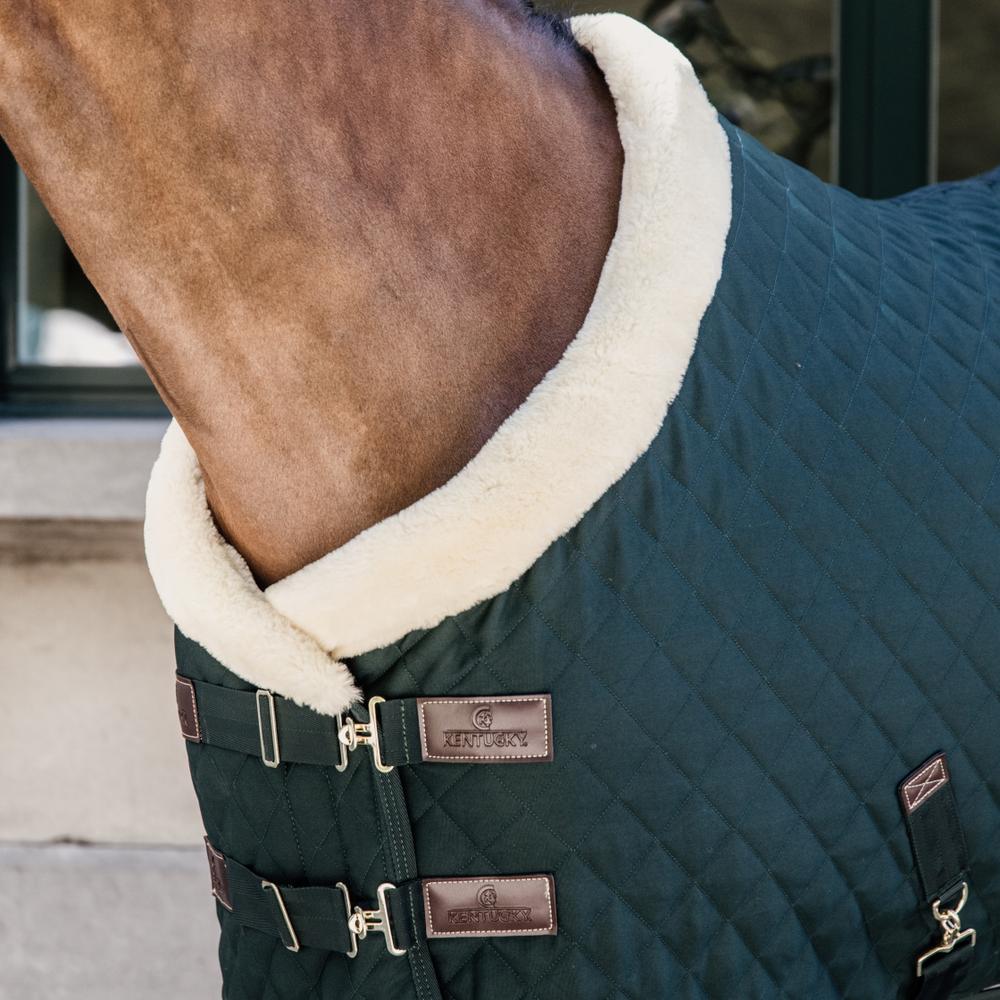 Couverture de concours Show Rug 160g