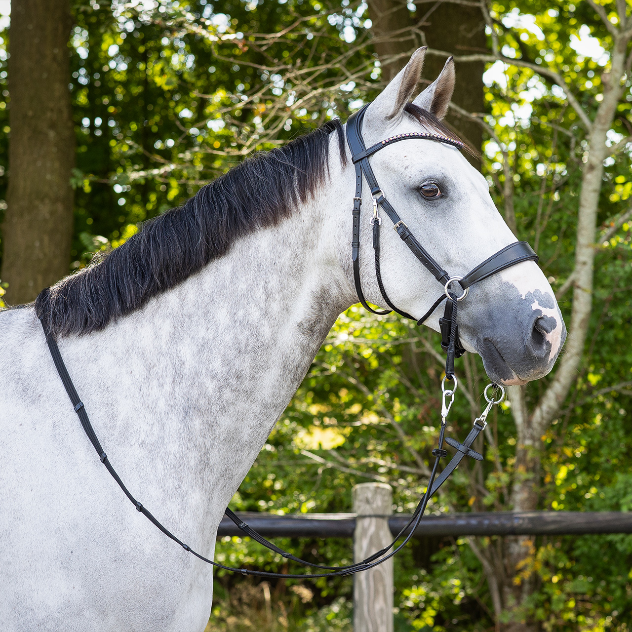 Snaffle bitless Sunna