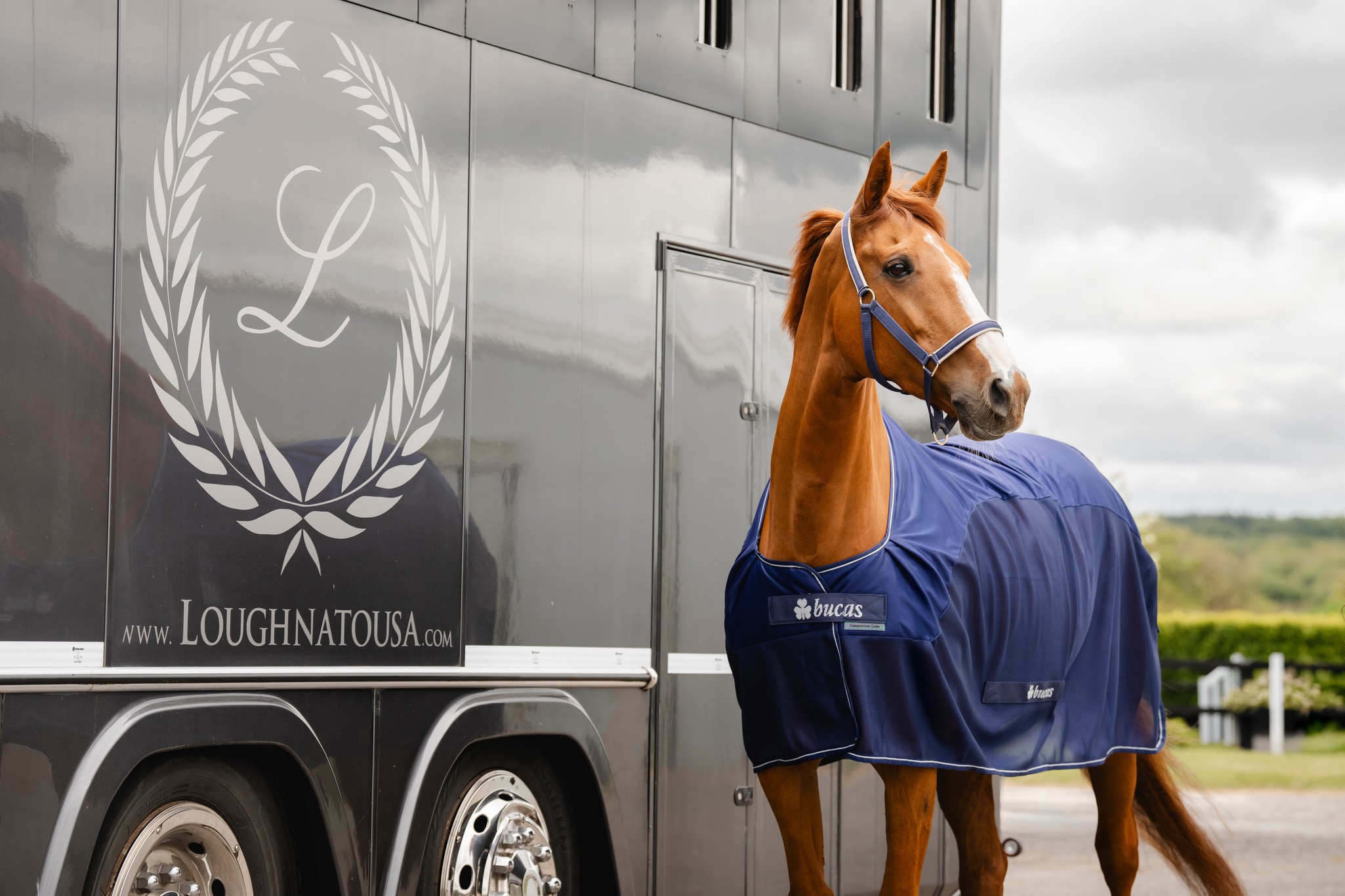 Abschwitzdecke Competition Cooler in Navy