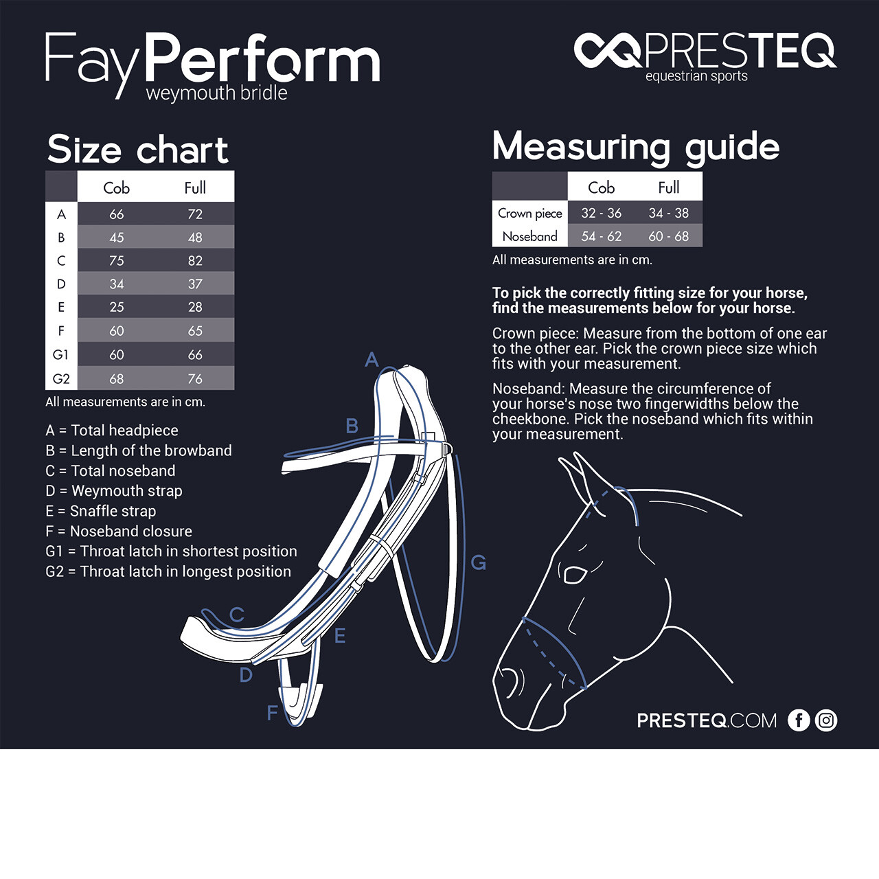 Double bridle FayPerform