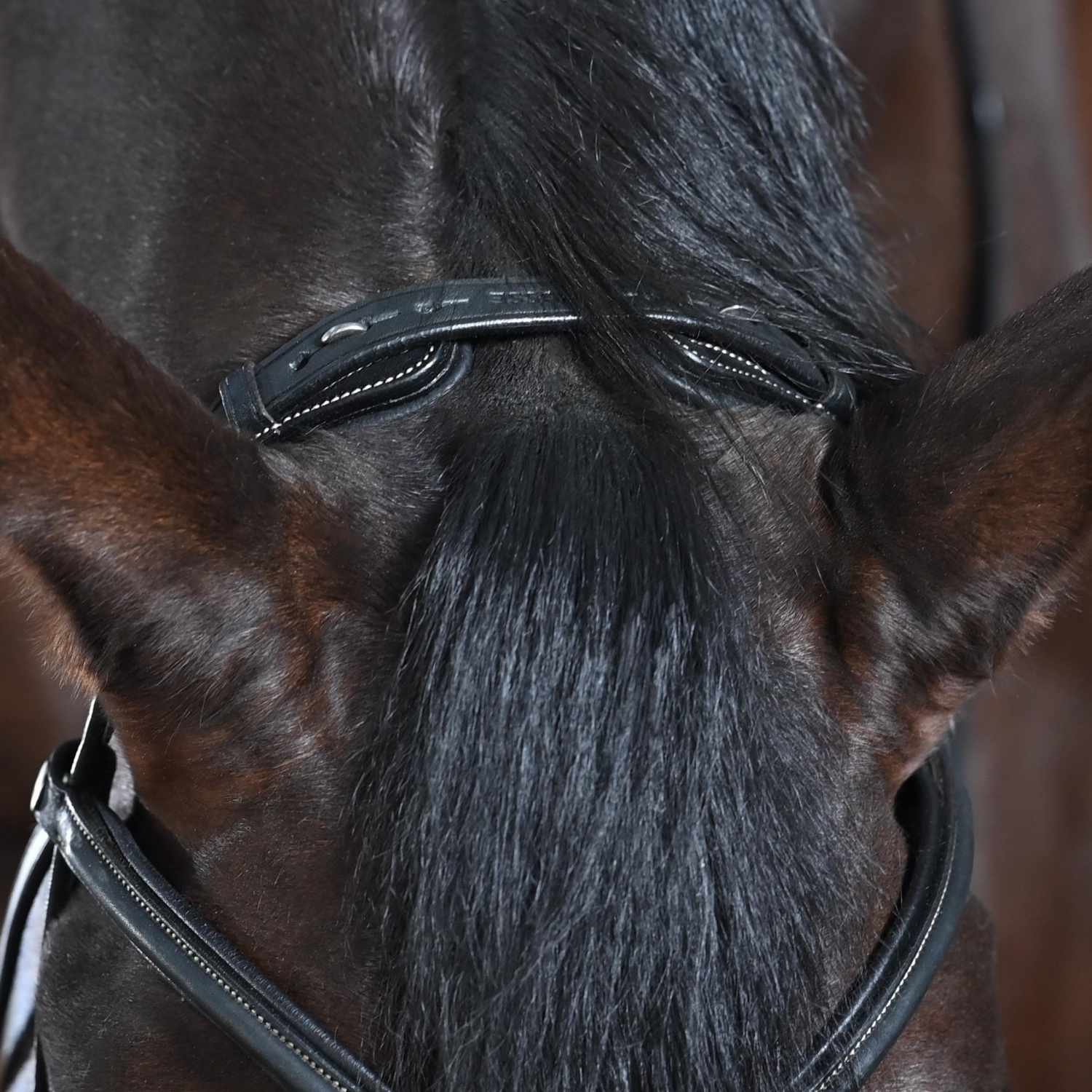 Trense Take-Off Line AD