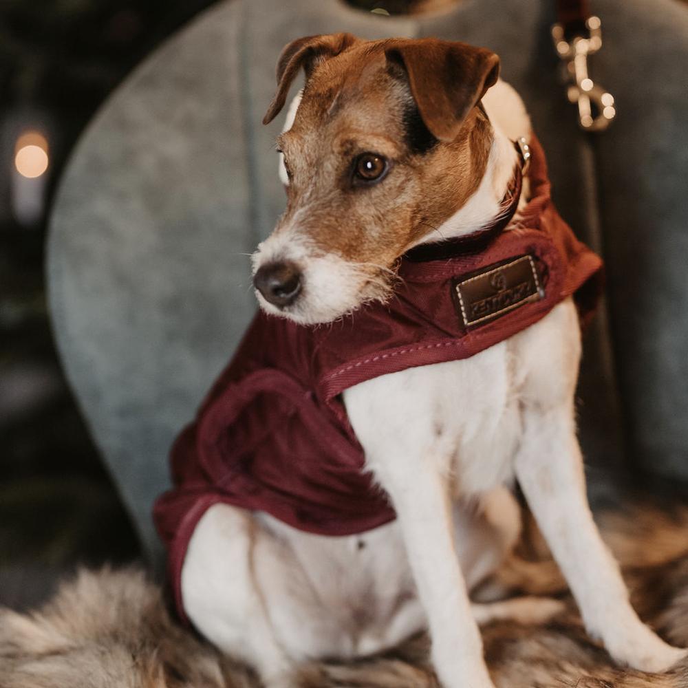 Hundemäntel Original