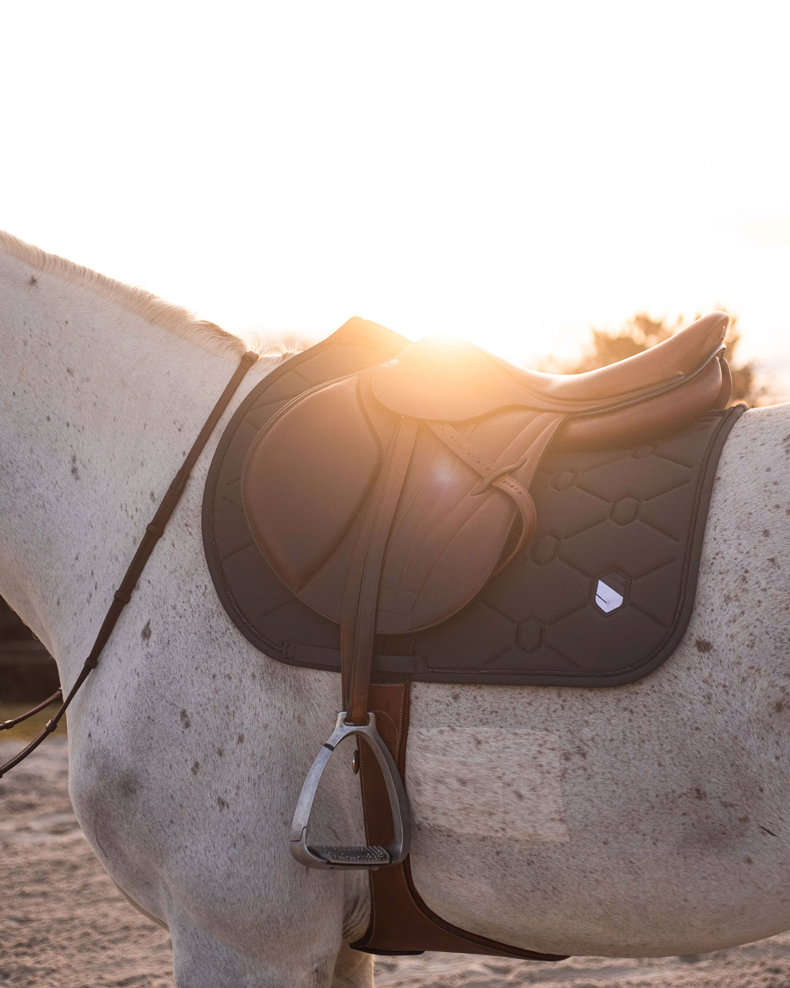 Springschabracke Embroidery