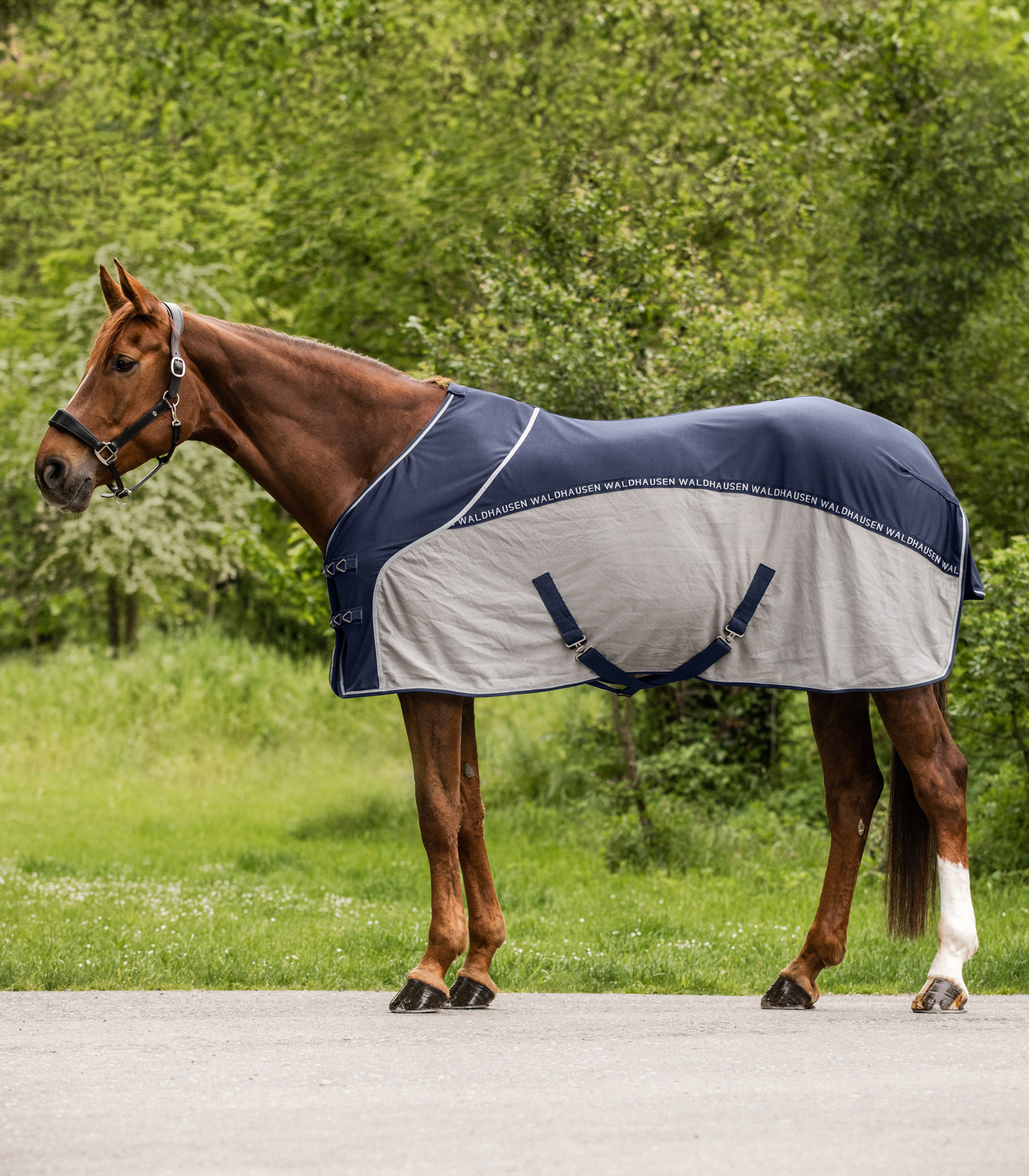 Fly summer blanket