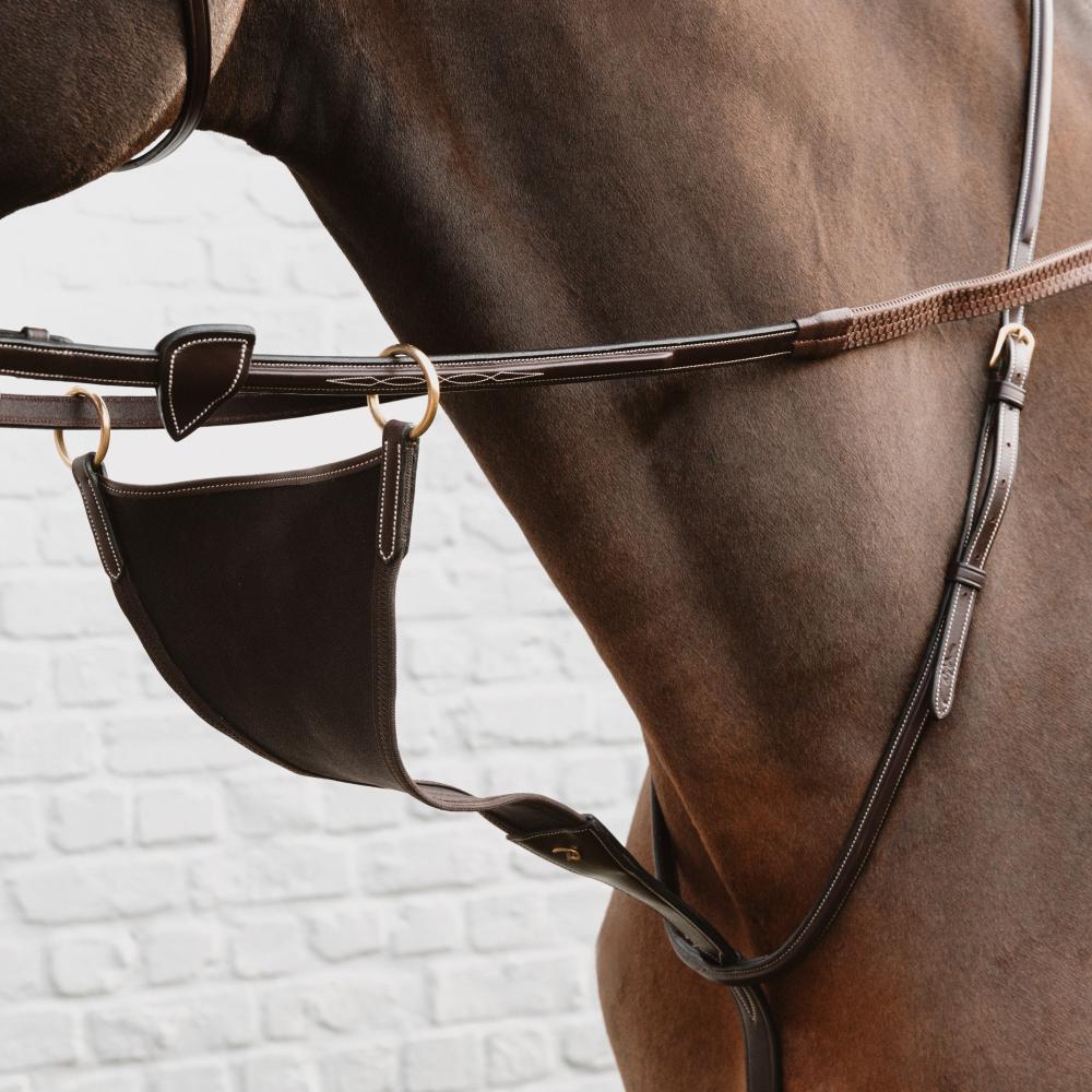 Geschlossene Elastische Martingal |