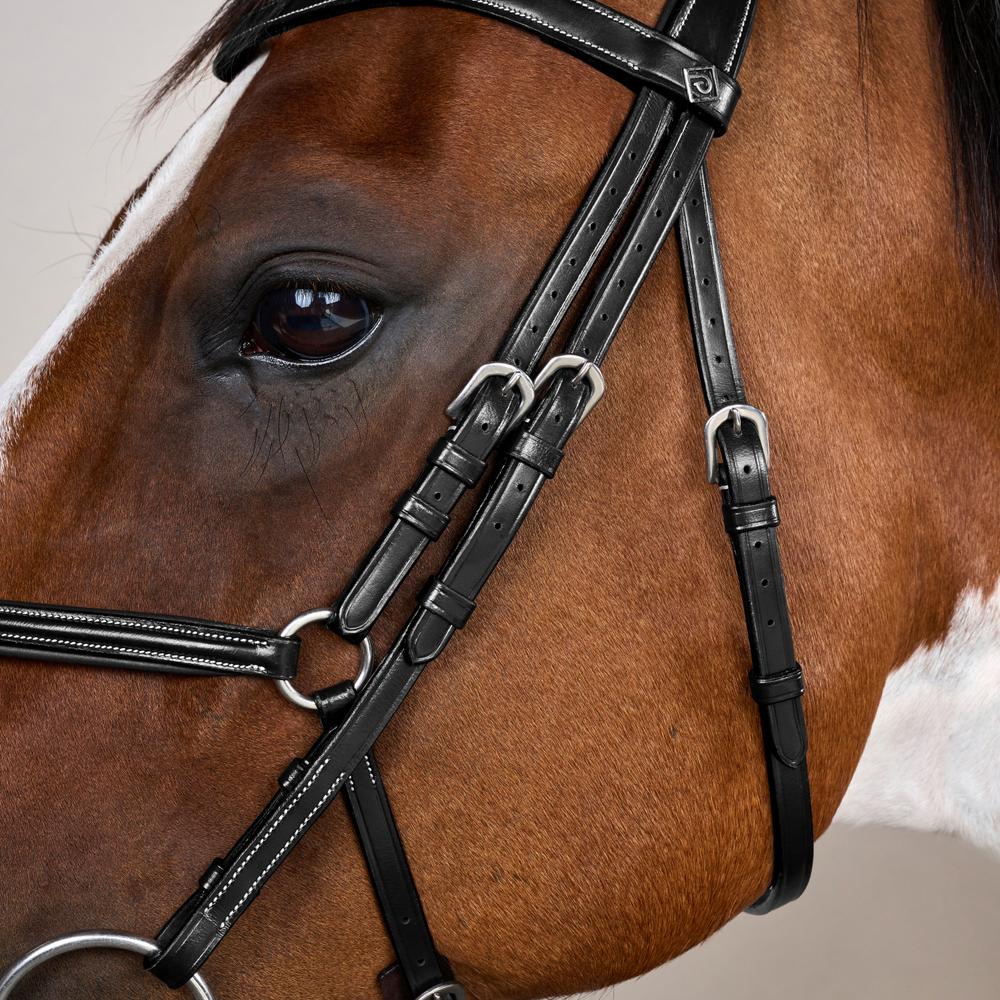 Trense mit mexikanischem Reithalfter WO