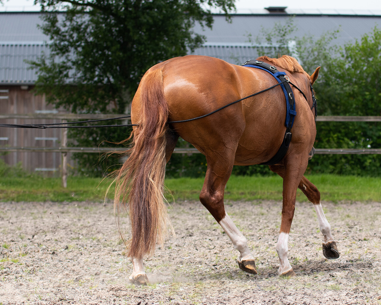 Double lunge