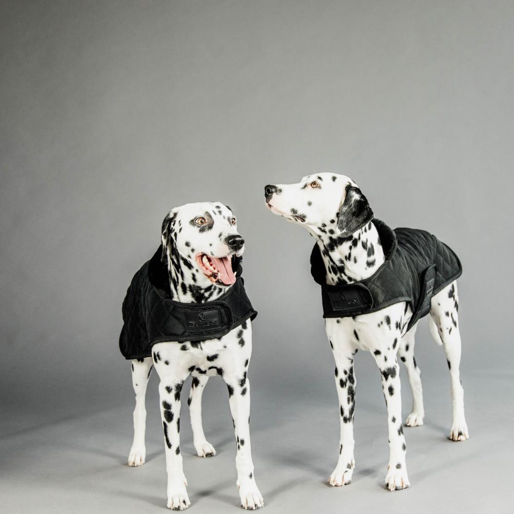 Manteau pour chien Original