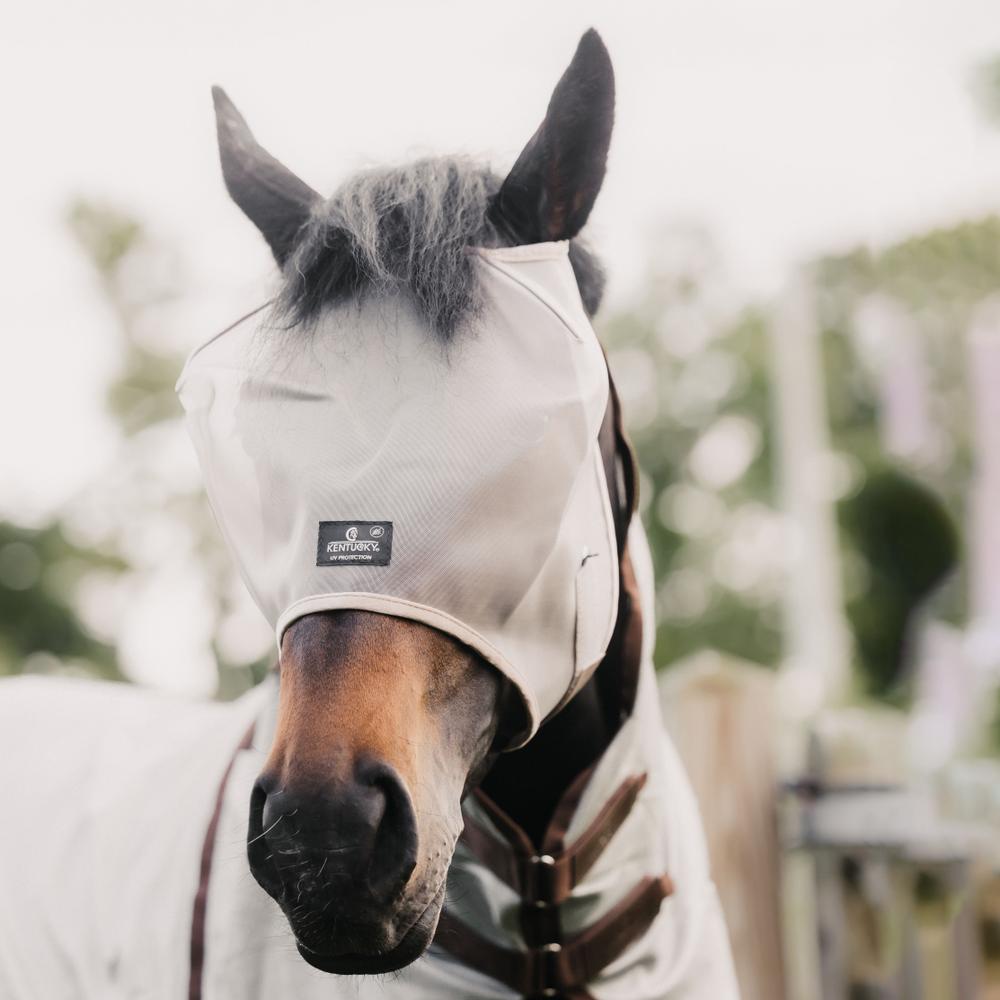 Classic fly mask without ears
