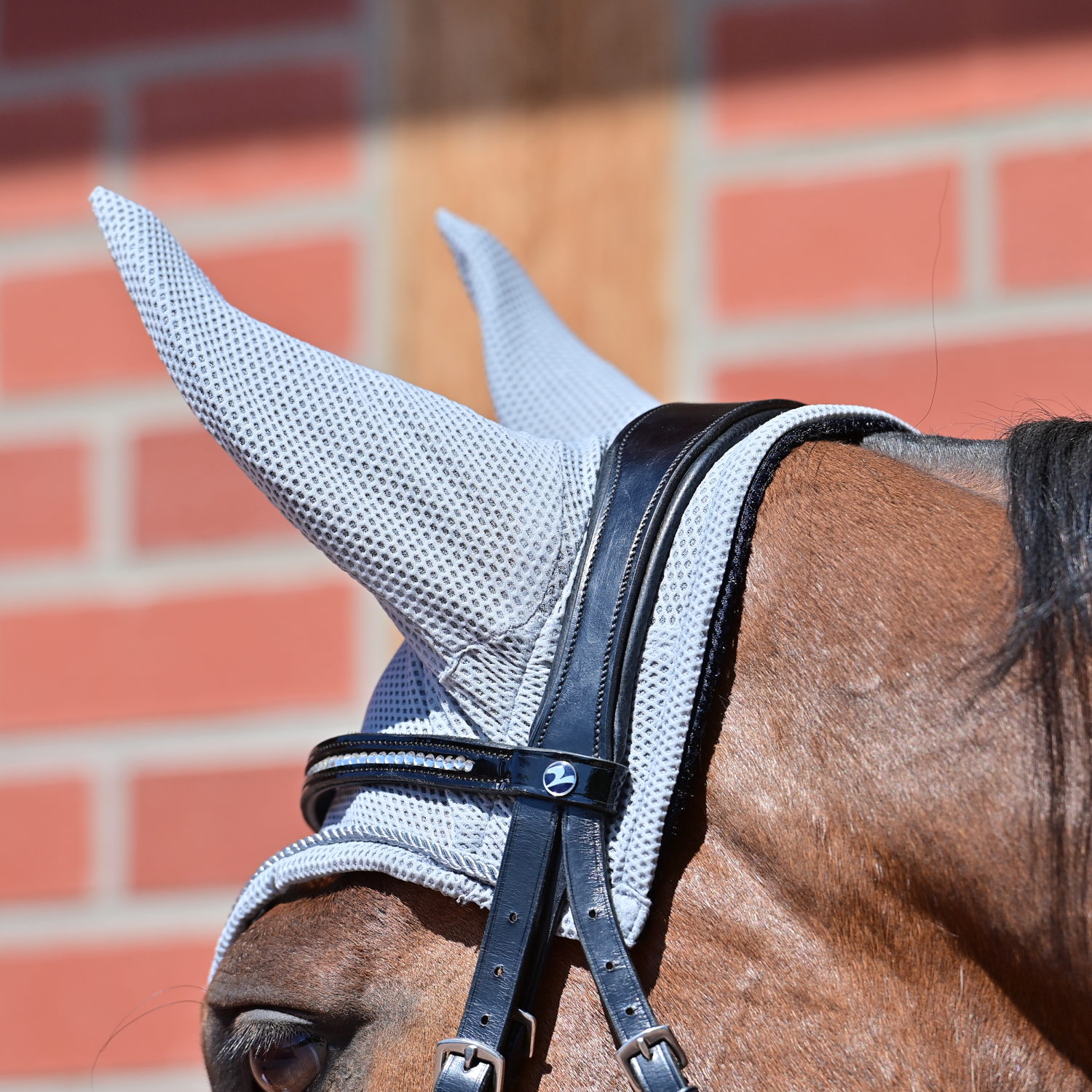 Fliegenohren Fly Air Mesh