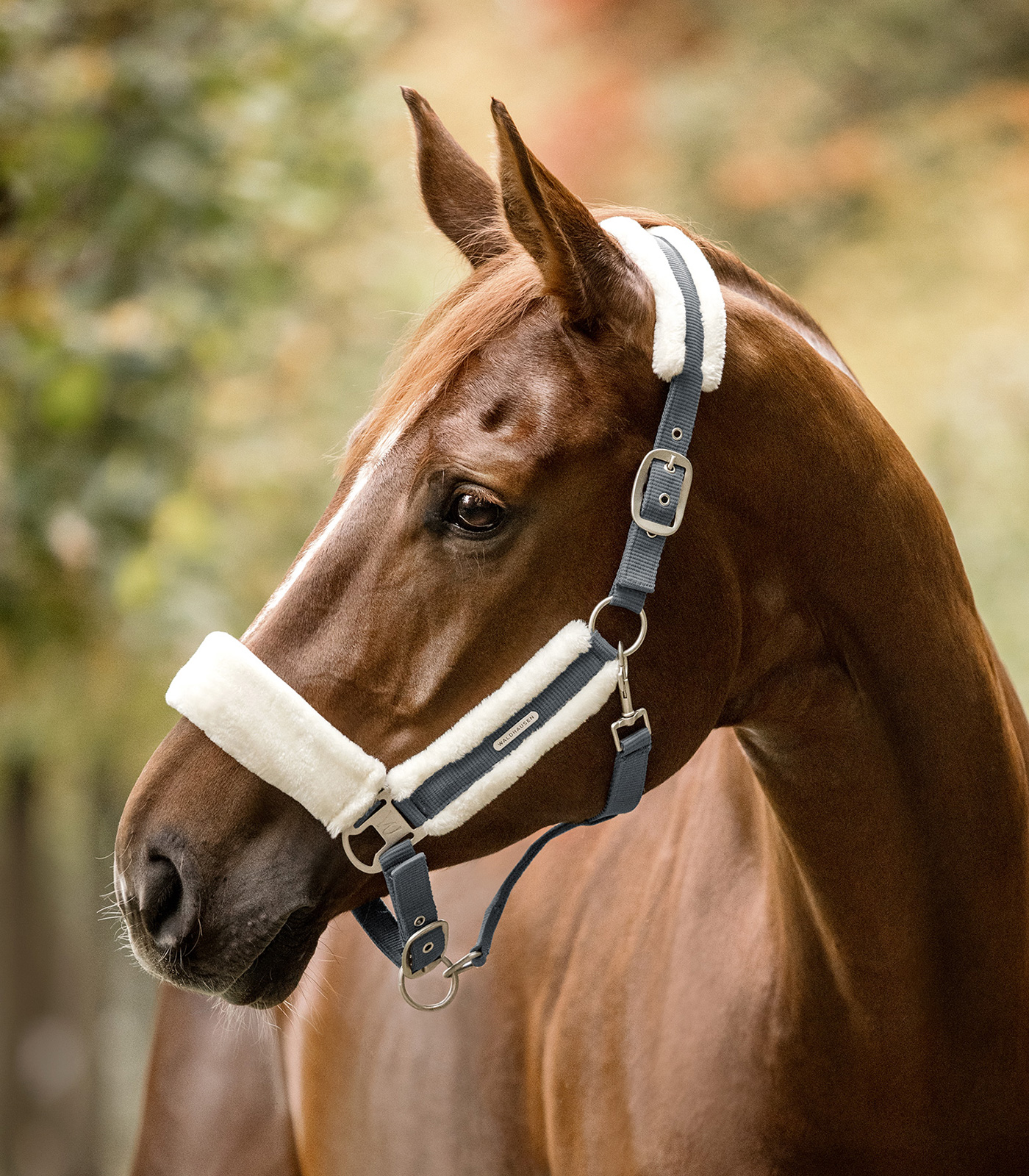 Halfter Soft schwarz