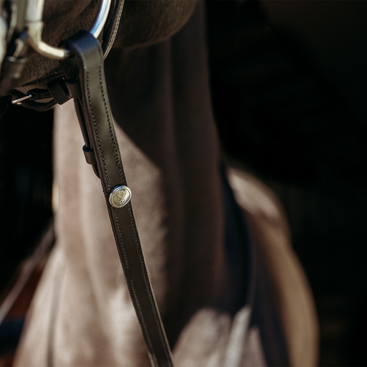 Reins FayRein with stops(8cm)