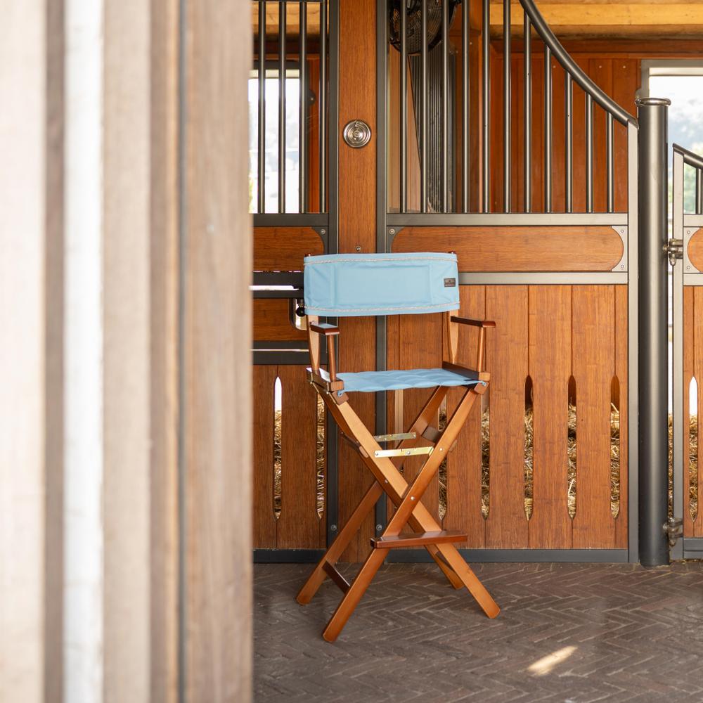 Seat and backrest for director's chair