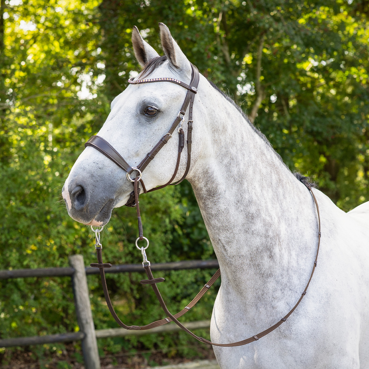 Snaffle bitless Sunna