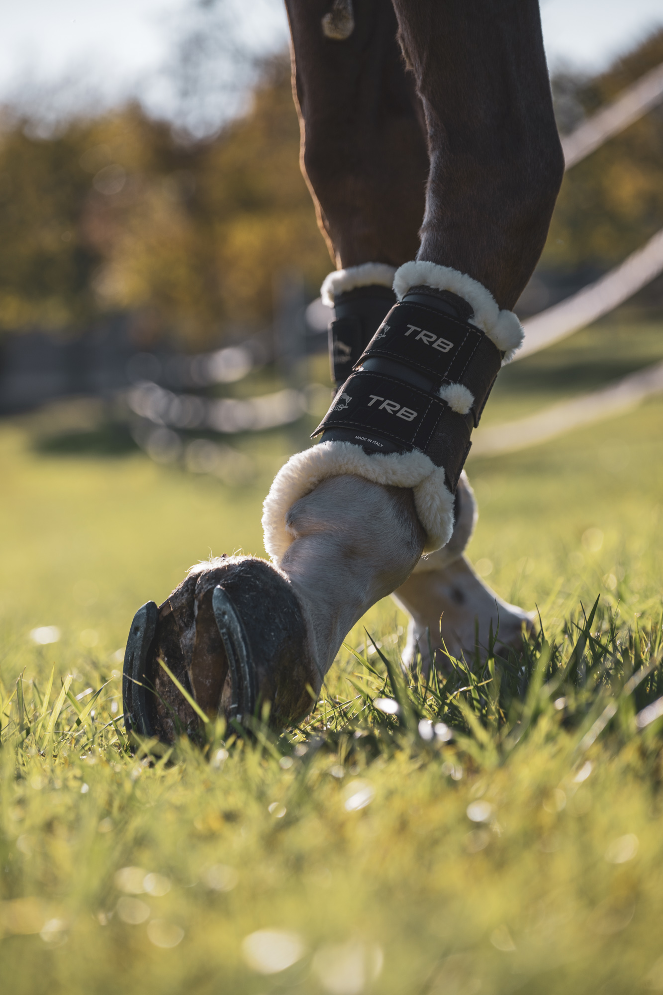 Gamaschen TRB Save the Sheep Front