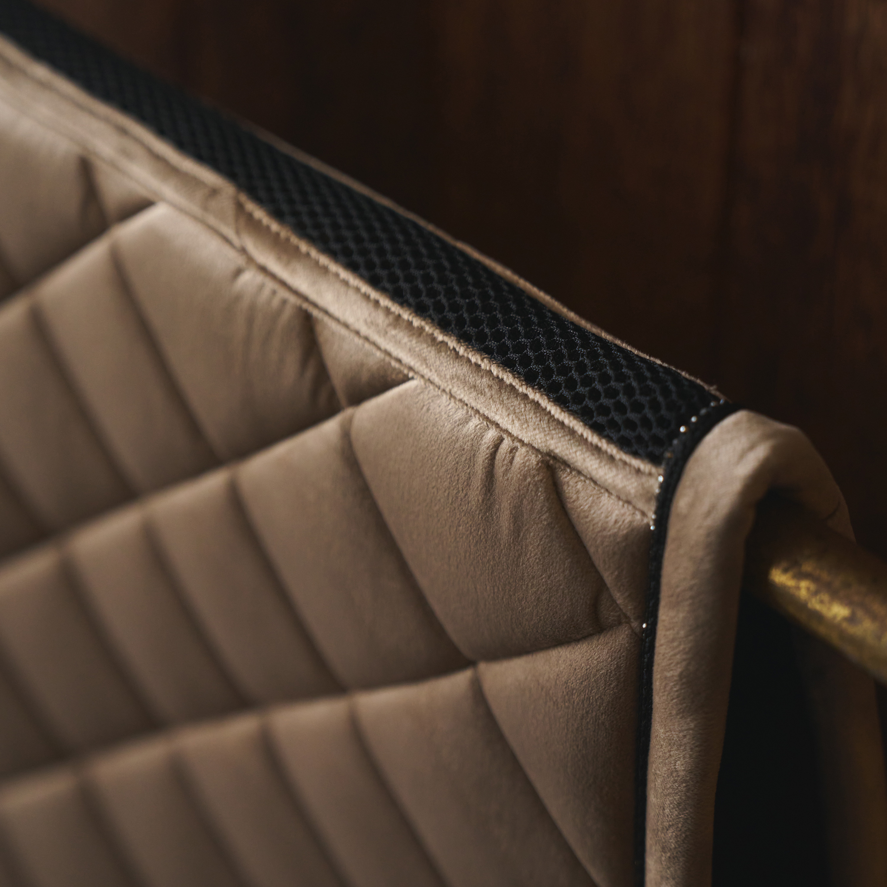 Schabracke Velvet GP