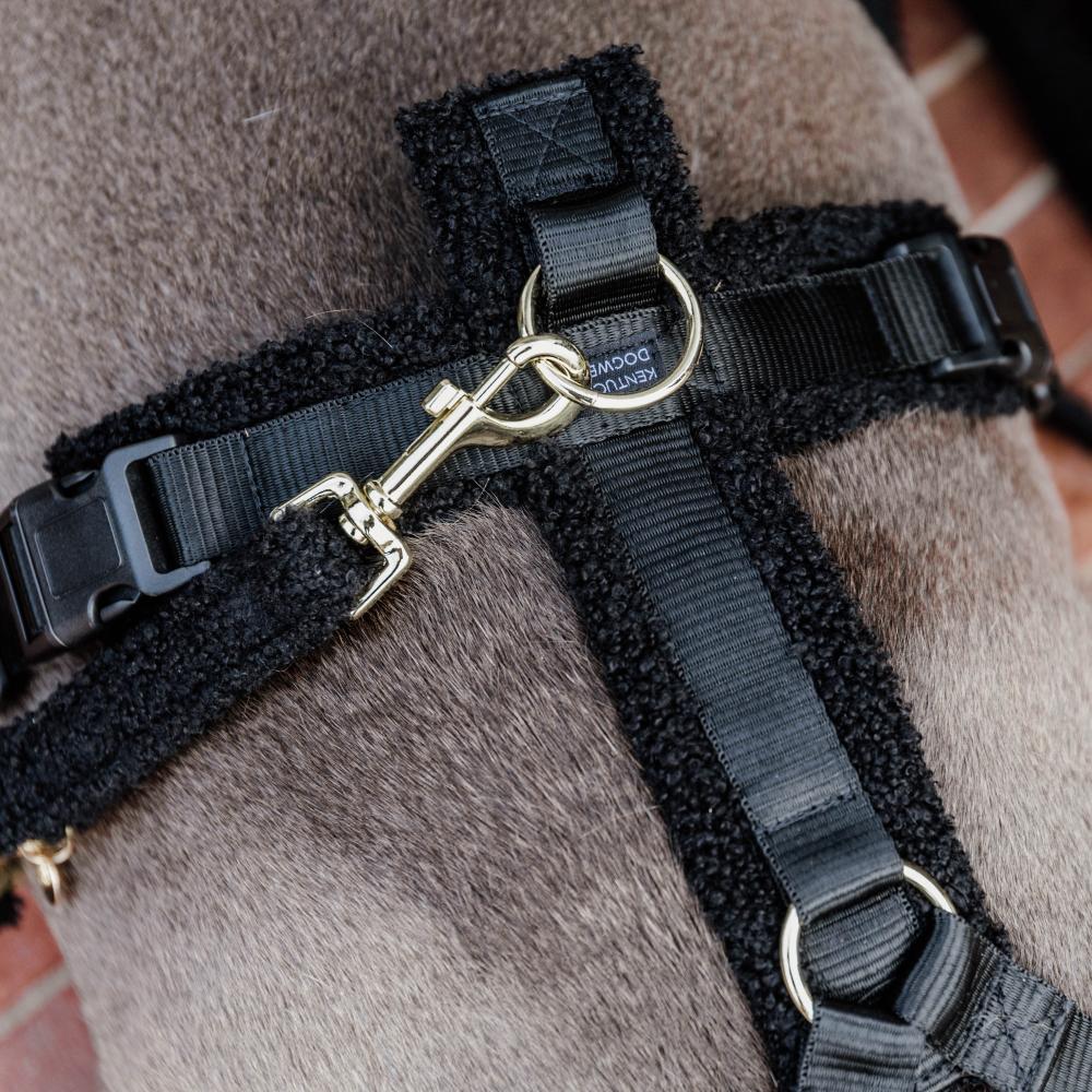 Hunde Leine Teddy Fleece 120 cm | Kentucky Dogwear