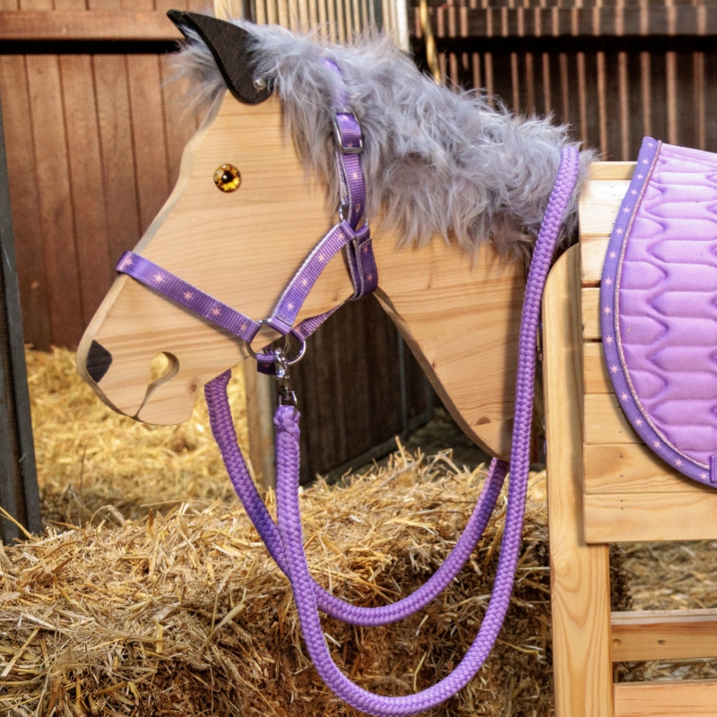 Houten paardenhalster "Unicorn Academy" met teugels