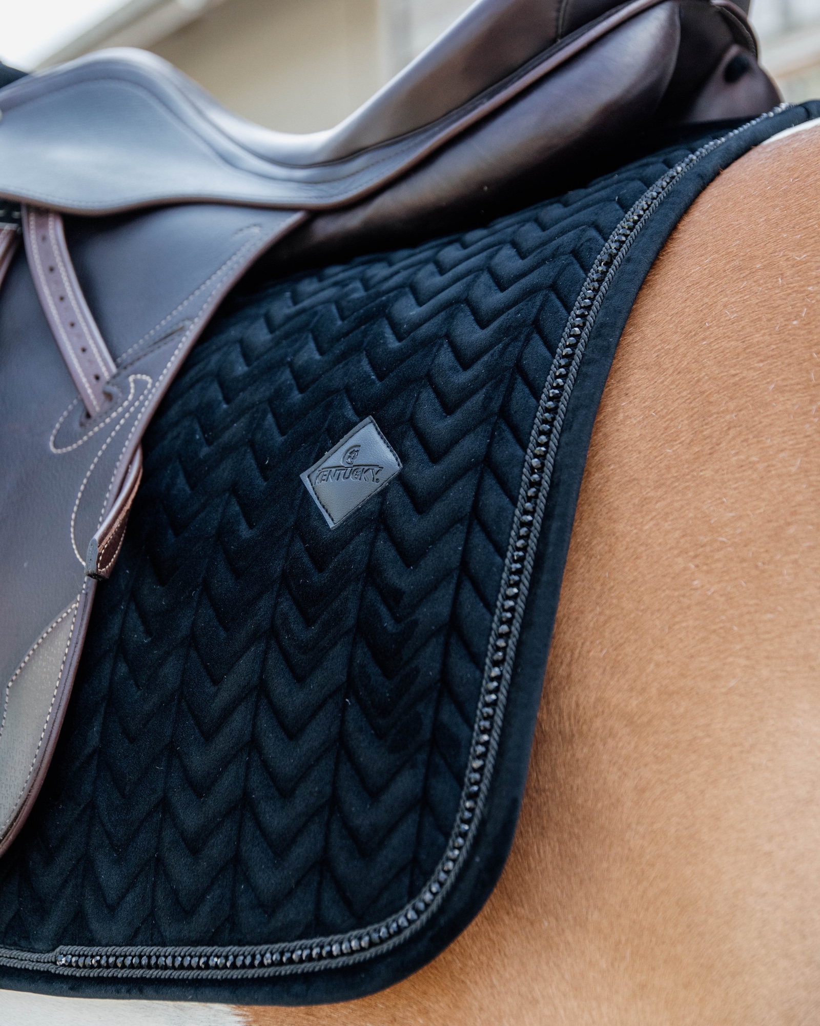 Dressage saddle pad Velvet Pearls