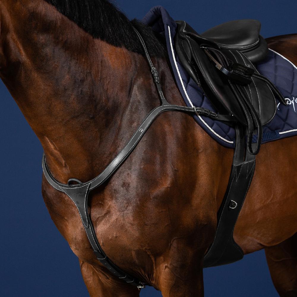 Vorderzeug mit langer Brücke