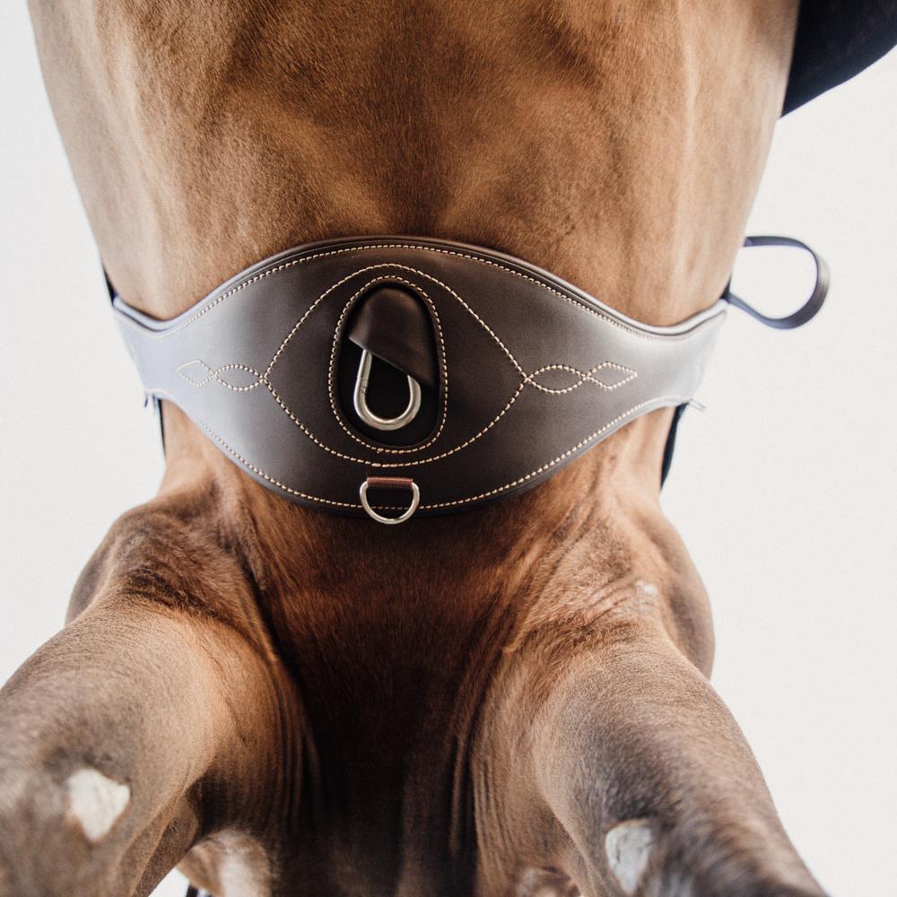 Long anatomical belt